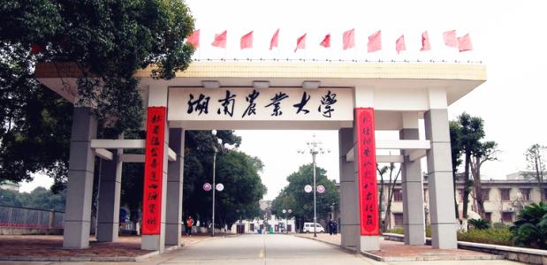 湖南农业大学.jpg